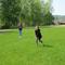 IMG_6628.JPG (520x390, 41.21 KB)