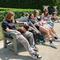 IMG_20250612_125746.jpg (520x391, 54.71 KB)