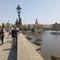 IMG_20250612_132140.jpg (520x391, 33.63 KB)
