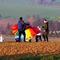 IMG-20241110-WA0006.jpg (520x346, 42.44 KB)