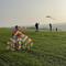IMG_6375.JPG (390x520, 77.21 KB)
