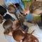 IMG_20241216_133809.jpg (520x234, 22.67 KB)