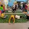 IMG-20250309-WA0043.jpg (520x693, 69.57 KB)