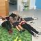 IMG-20250329-WA0016.jpg (520x390, 36.11 KB)