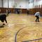 IMG-20250329-WA0017.jpg (520x390, 41.84 KB)