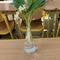 IMG_5323.jpg (197x261, 17.46 KB)