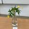 IMG_5333.jpg (195x238, 11.73 KB)