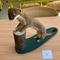 IMG_5337.jpg (222x232, 15.92 KB)