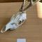 IMG_5340.jpg (210x263, 14.29 KB)