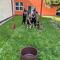 IMG-20250505-WA0032.jpg (520x693, 98.02 KB)