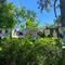 IMG-20250505-WA0011.jpg (520x390, 64.14 KB)