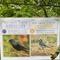 IMG_5588.jpg (205x282, 28.69 KB)