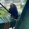 IMG-20250525-WA0012.jpg (520x693, 62.11 KB)