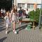 IMG_20250627_081453.jpg (520x391, 51.06 KB)