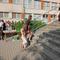 IMG_20250627_081537.jpg (520x391, 47.57 KB)